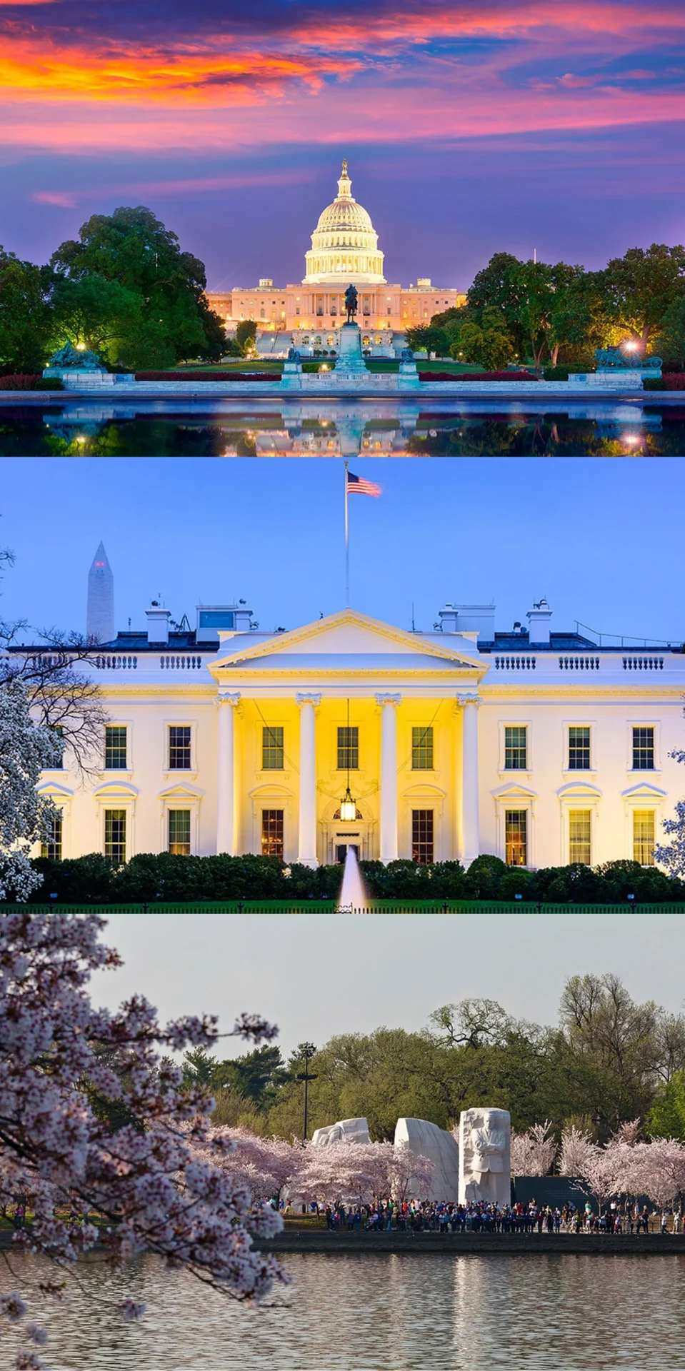 Washington D.C. landmarks: Capitol, White House, memorial.